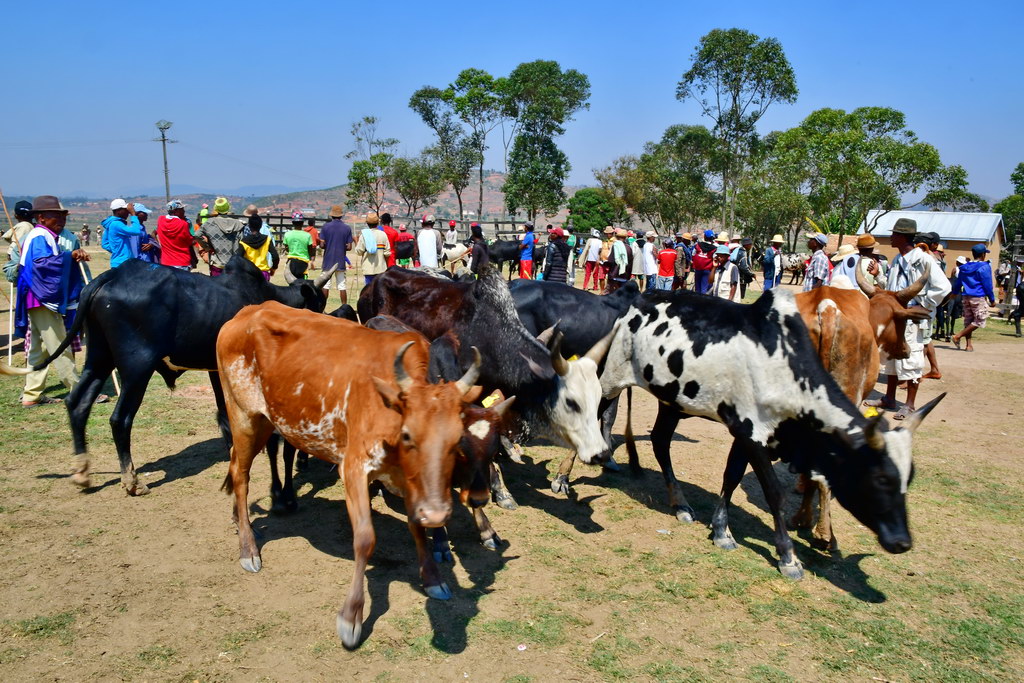 Fianarantsoa to Ambositra
